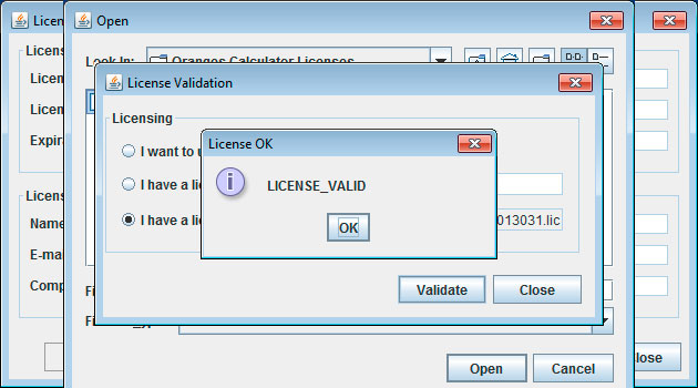 Oranges Calculator - Main window